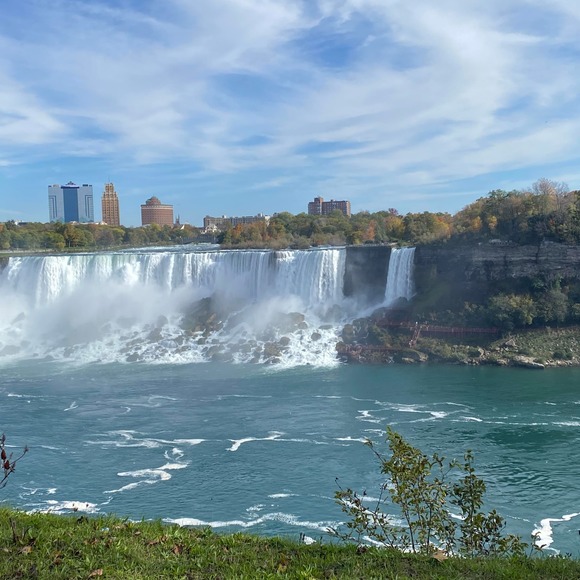 Meet your Posher, Benjamin - Picture 1 of 1